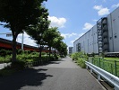 298号の側道と流通団地の間の歩道